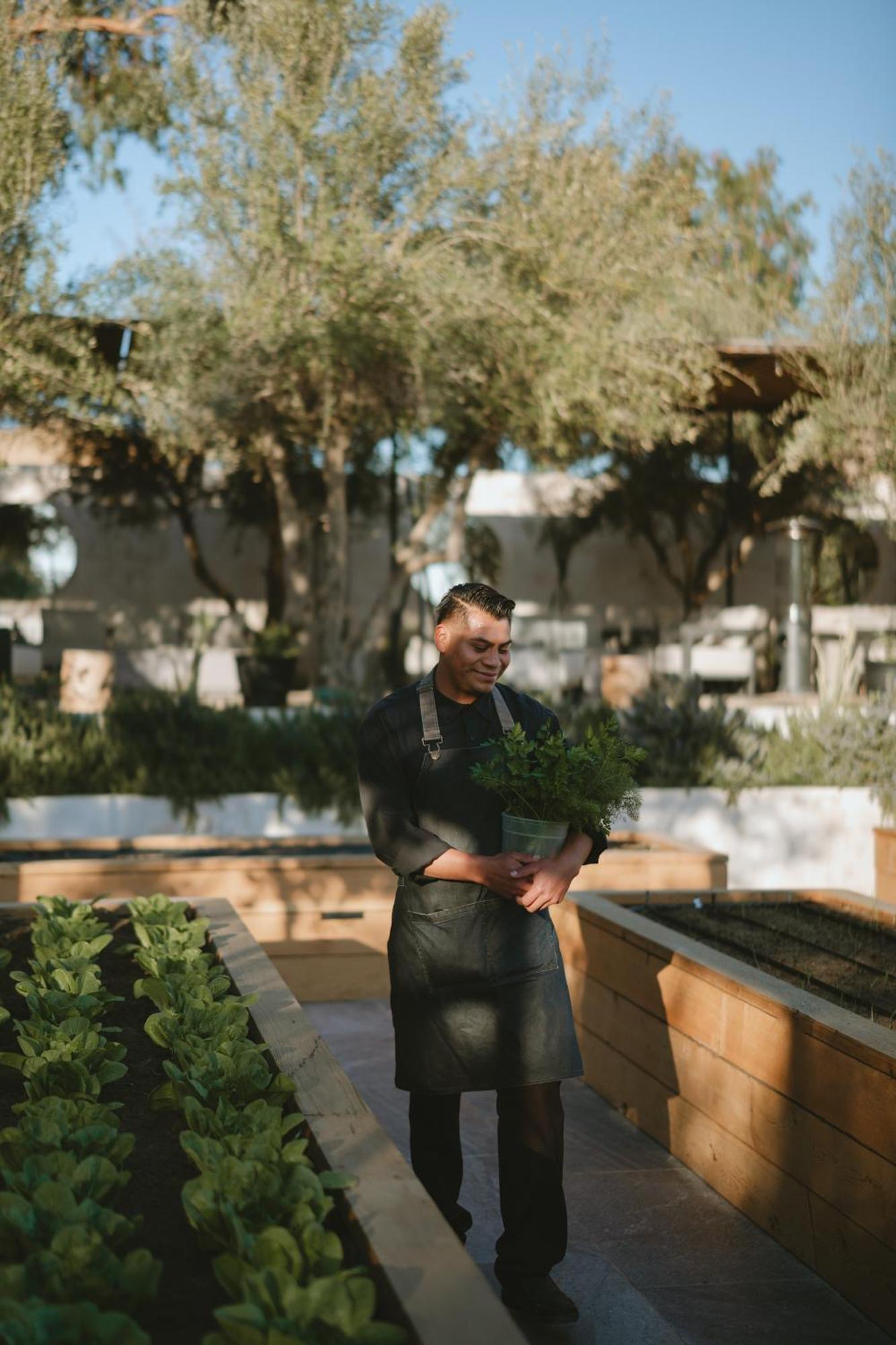 ואלה דה גוואדלופה Mya Hotel מראה חיצוני תמונה